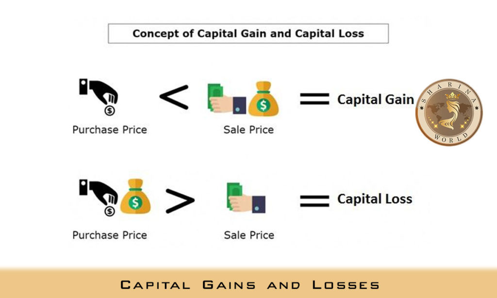 Capital Gains and Losses - 2021