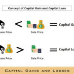 Capital Gains and Losses - 2021