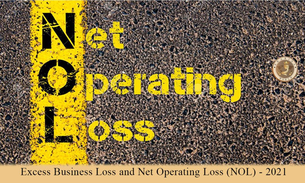 Excess Business Loss