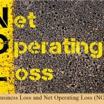 Excess Business Loss